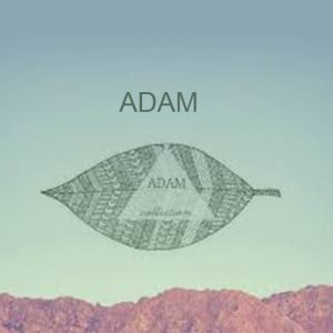 Adam Collection